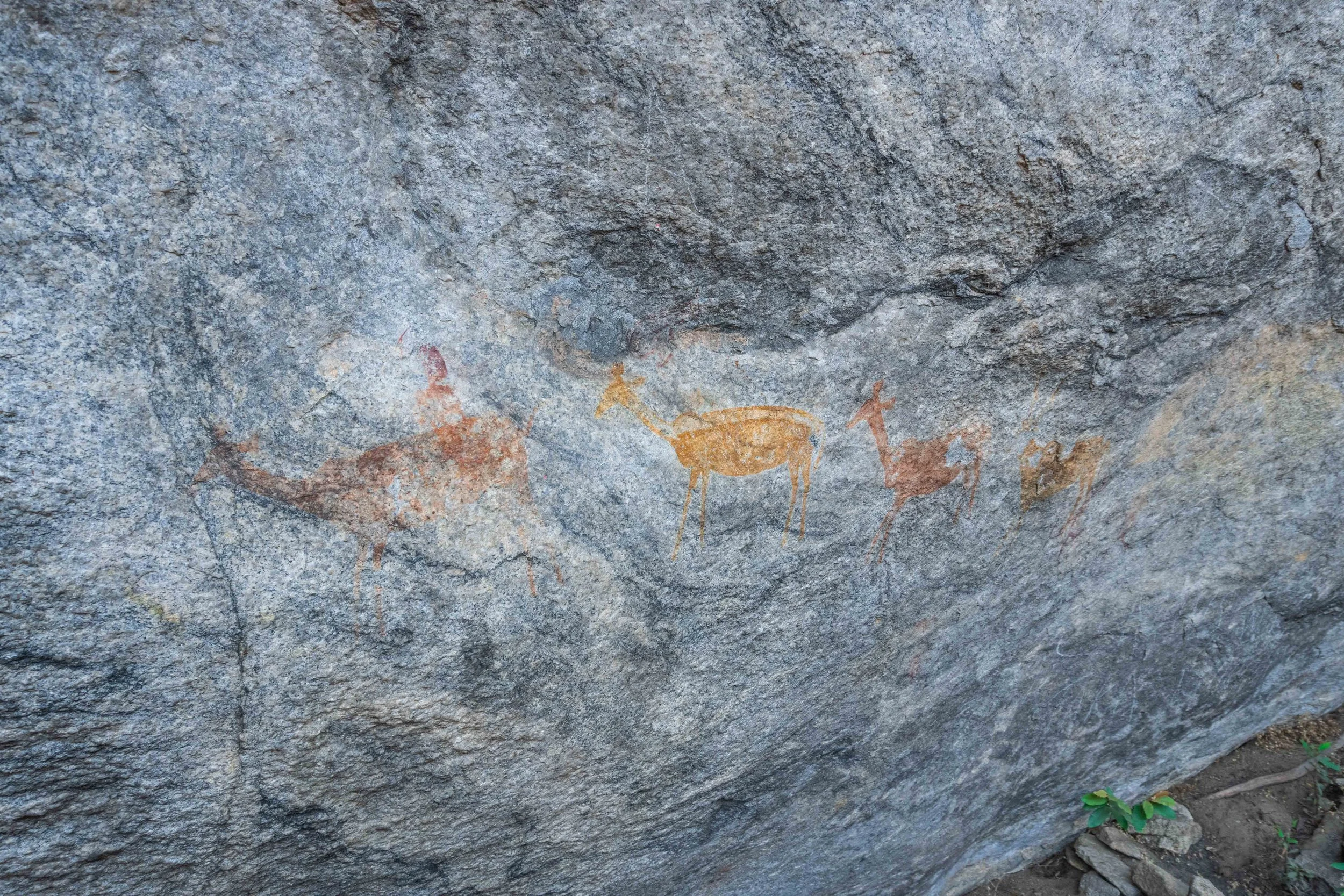 Animal figures in motion