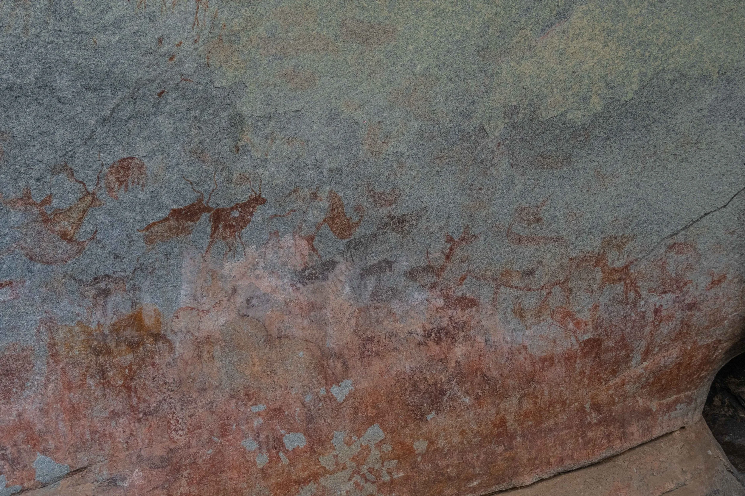 Animal figures in motion