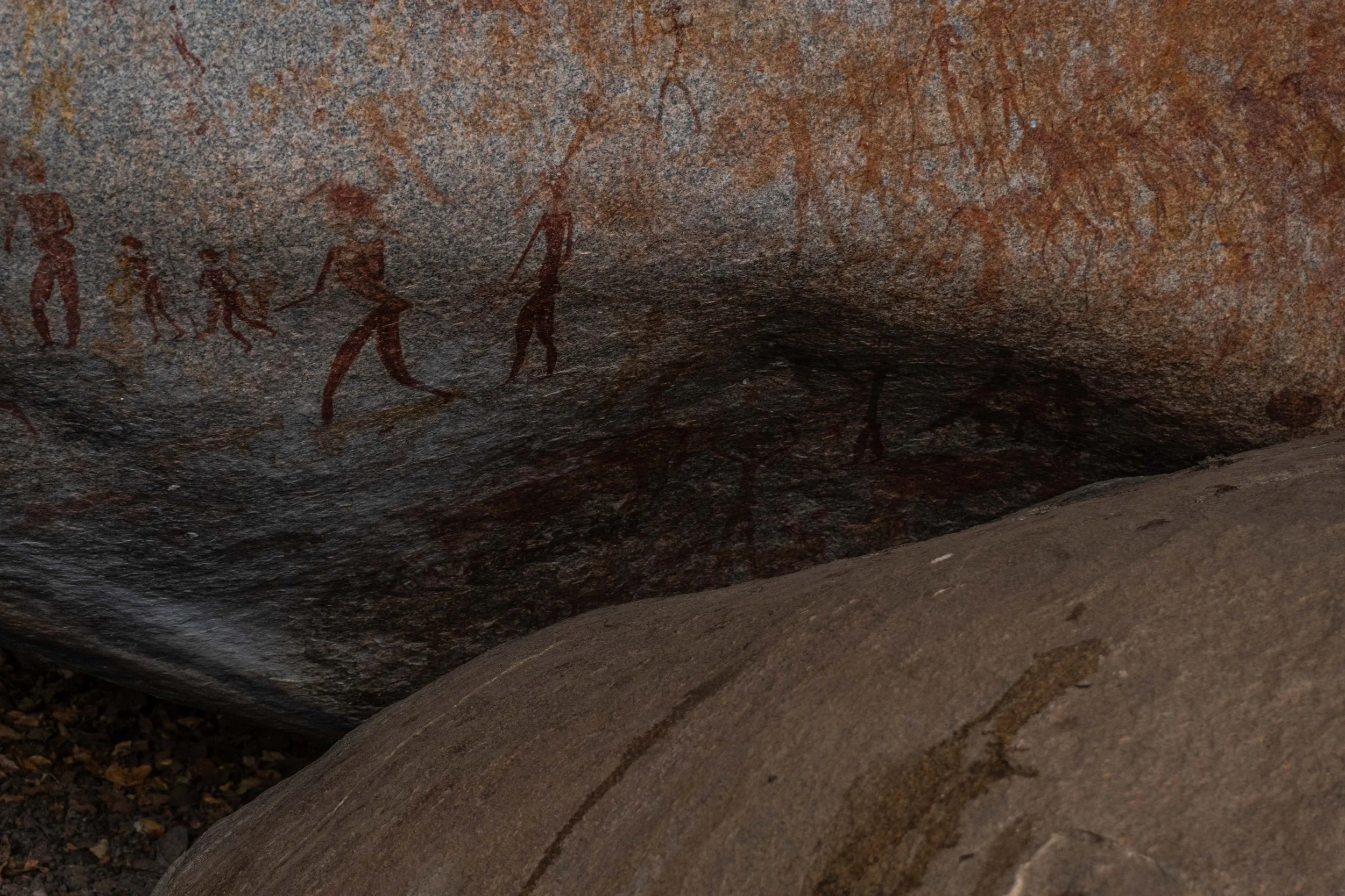 Elephant and geometric structure