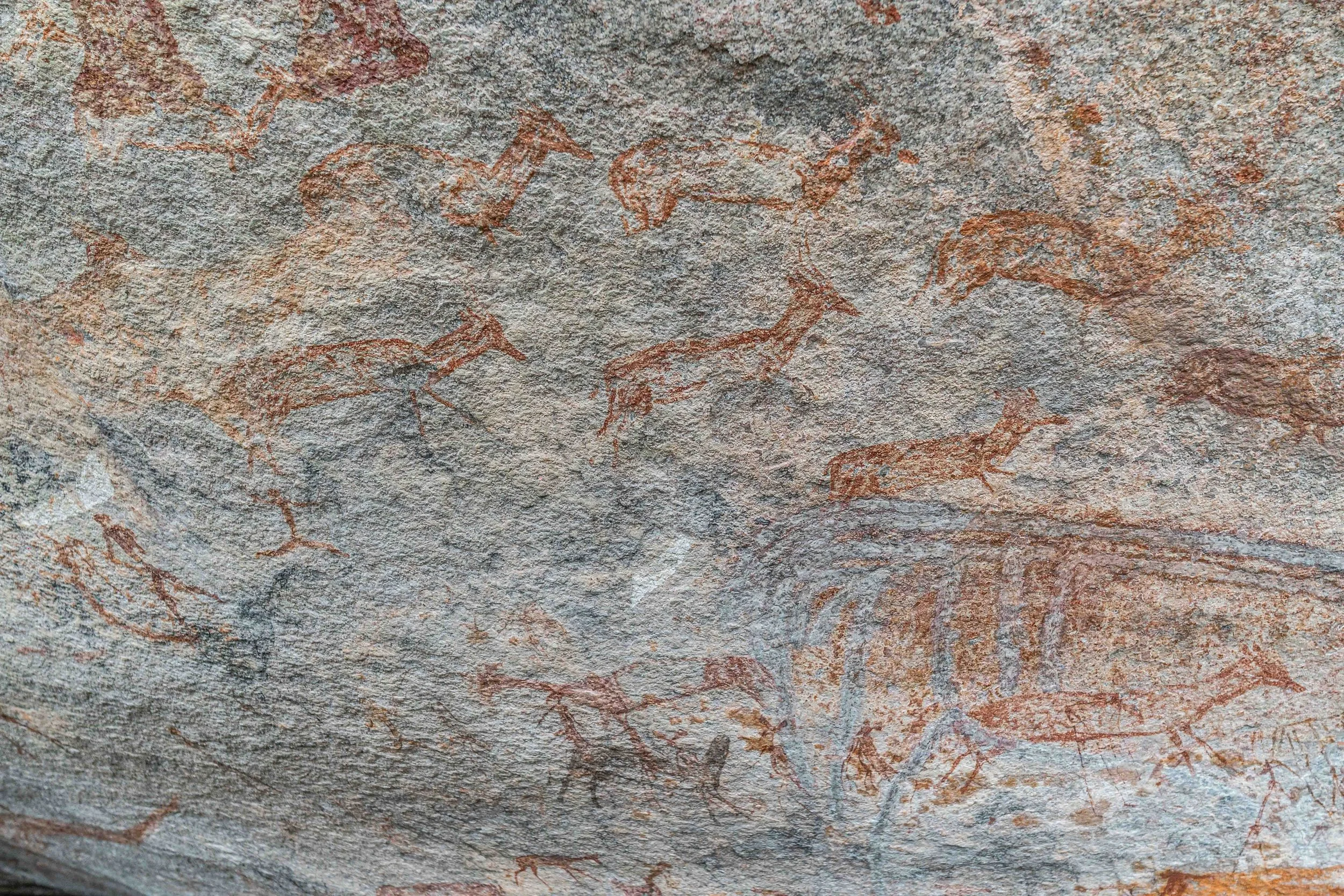 Elephant and geometric structure