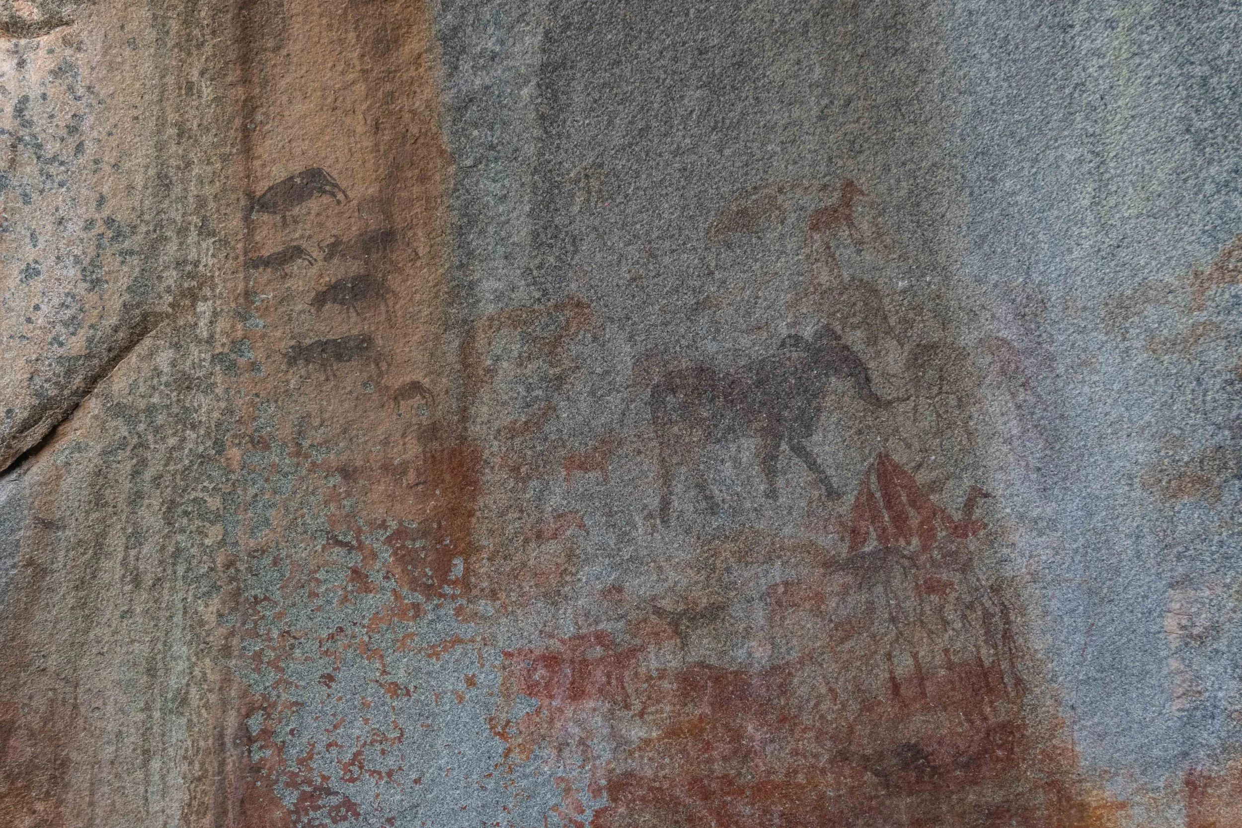 Elephant and geometric structure