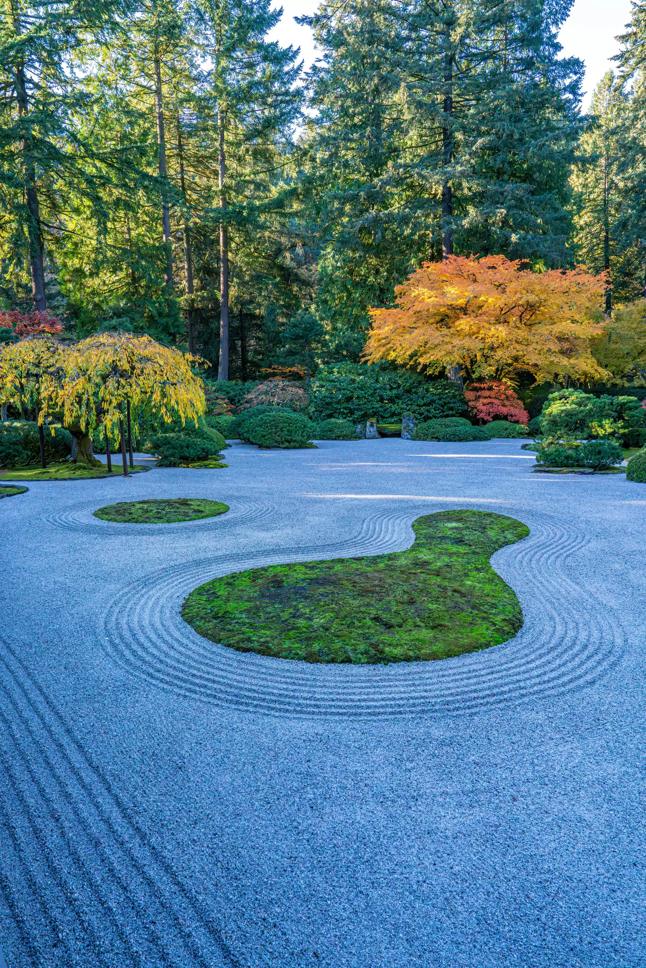 Sensory-Friendly Japan