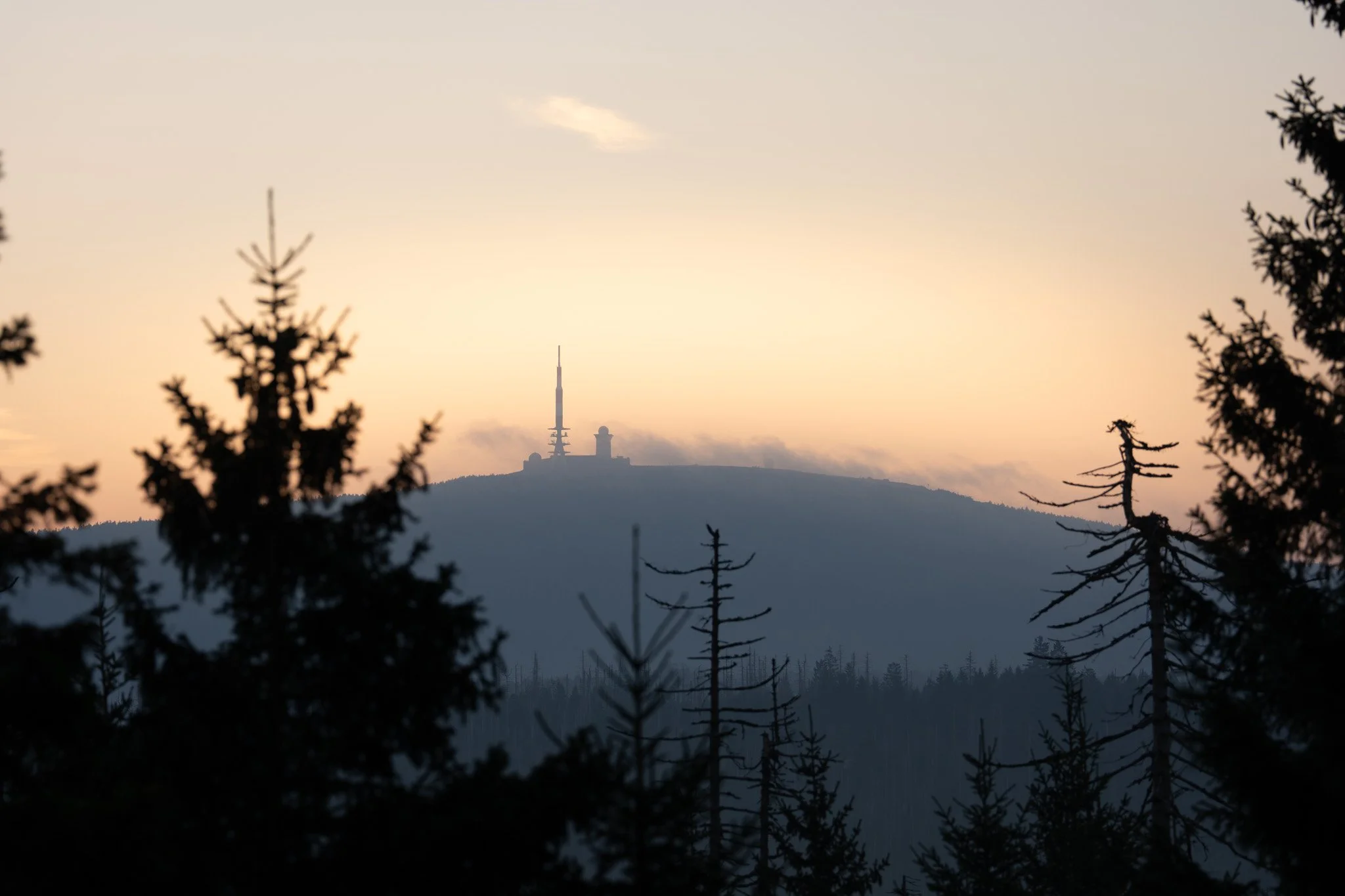 Landschaft im Harz