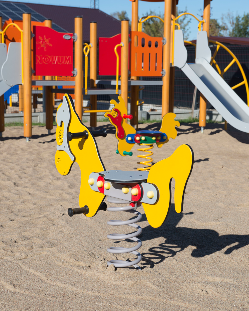 SportServis nuotrauka 3