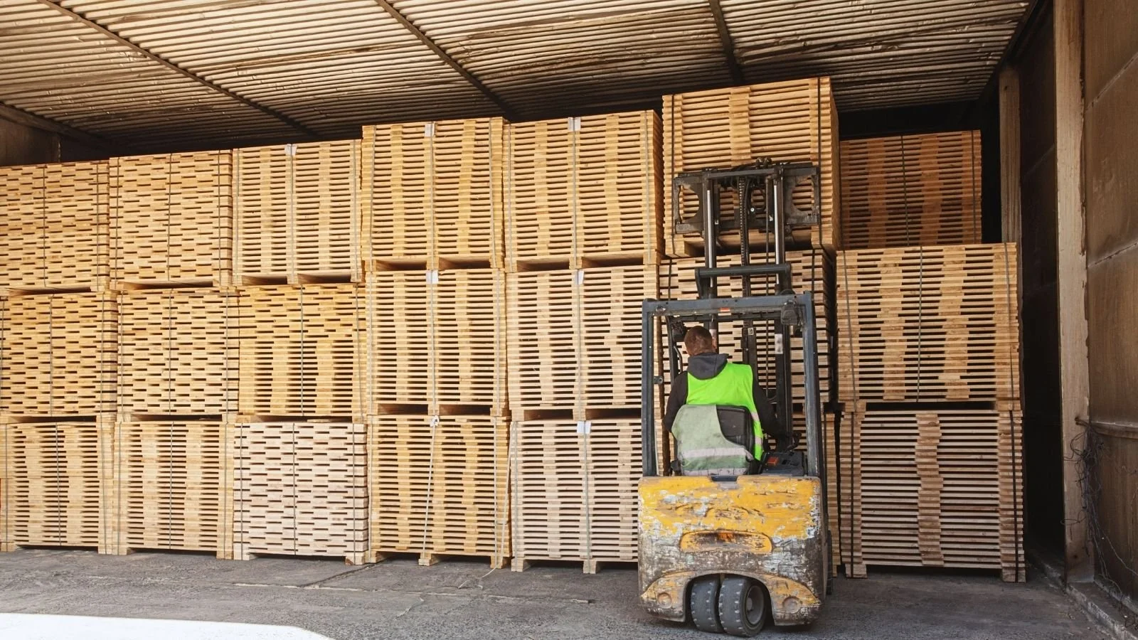 Forklift driver moving stacked timber packs in a covered timber store