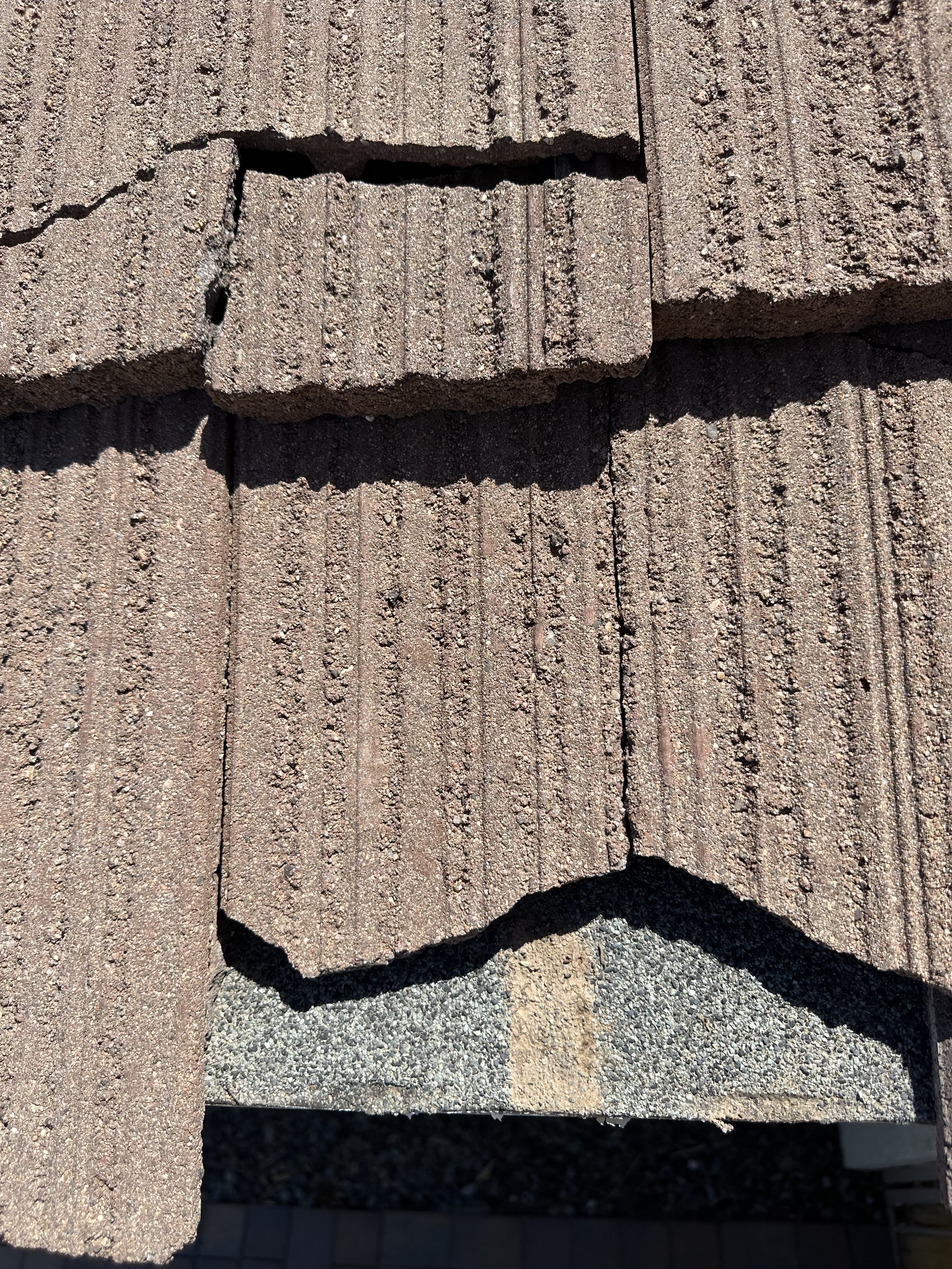 Palm tree debris on a cracked concrete tile roof in Scottsdale