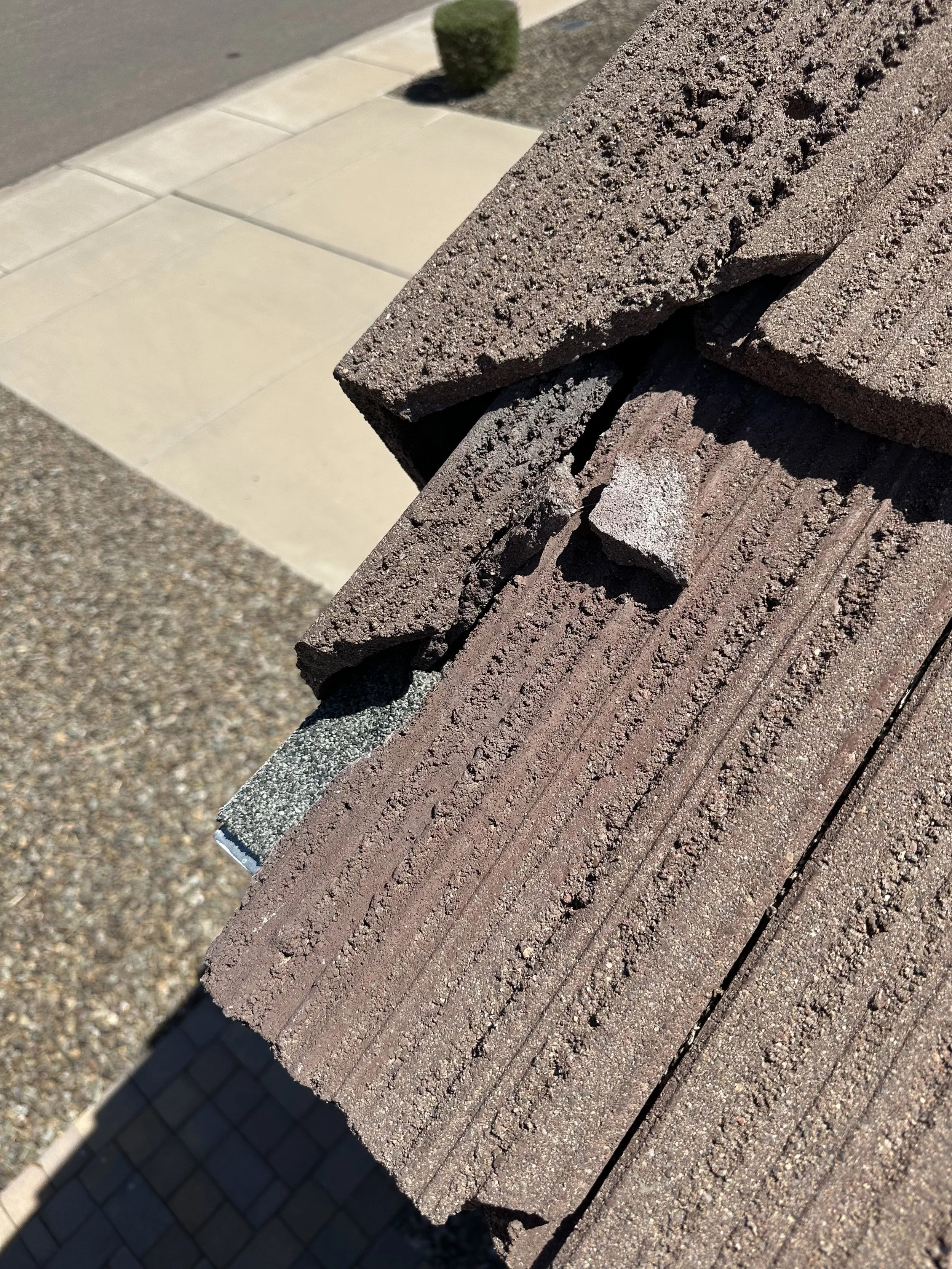 Landscaping crew causing roof damage while trimming palm trees in Scottsdale