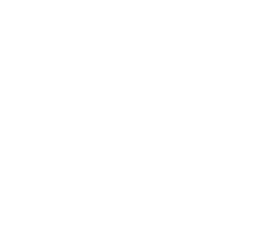 Wide Web Exposure Icon