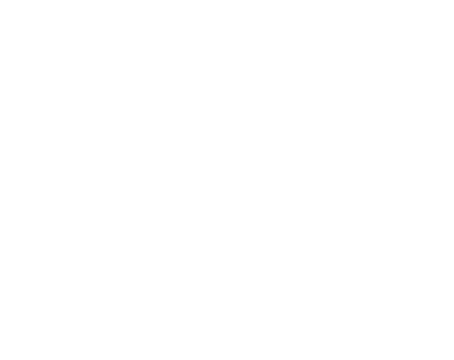 Professional Media Icon
