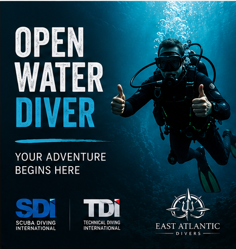 SDI Open Water Diver