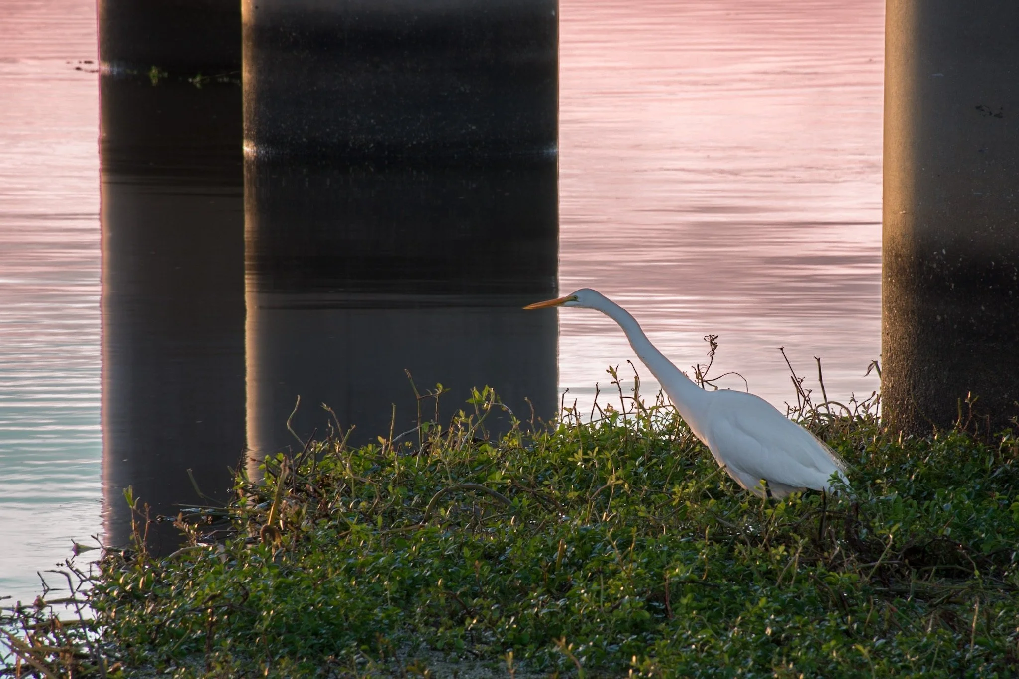 A quiet moment by the water