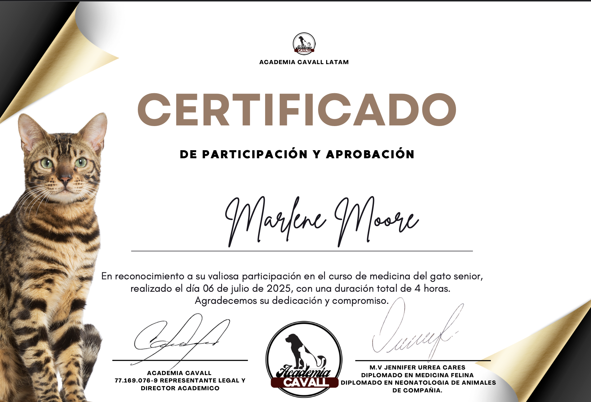 Certificado Medicina en Gato Senior