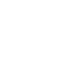 apple icon