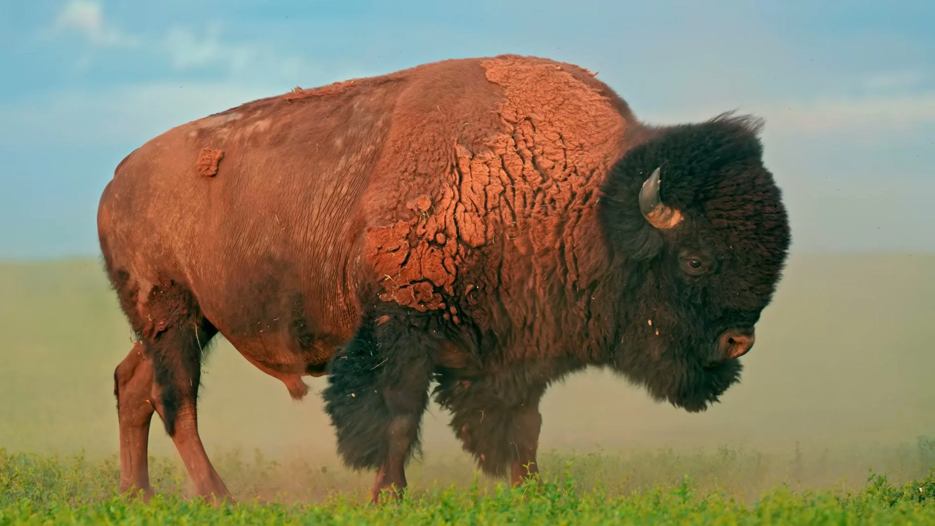 Still from The Badlands of South Dakota