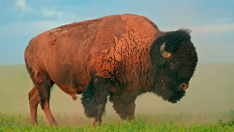 The Badlands of South Dakota