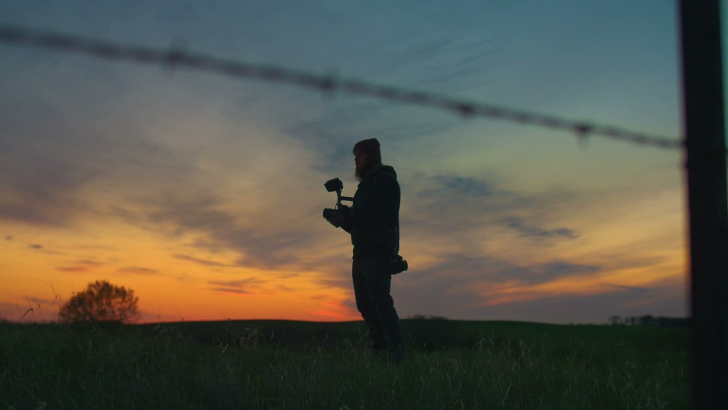 Still from Walk on the Wild Side