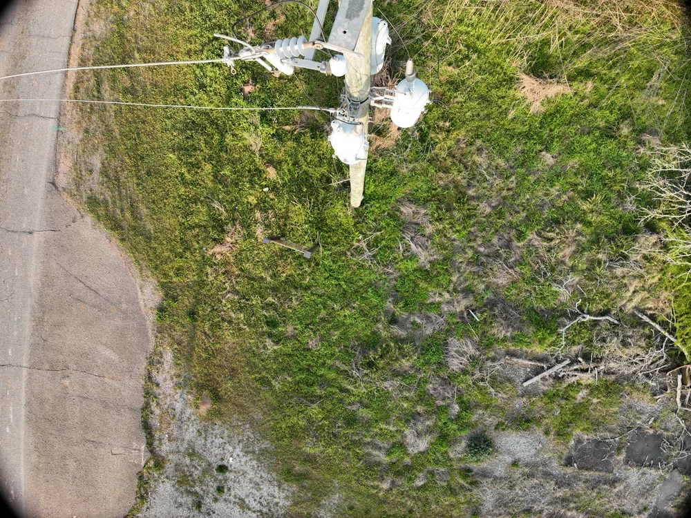 Top-down pole inspection