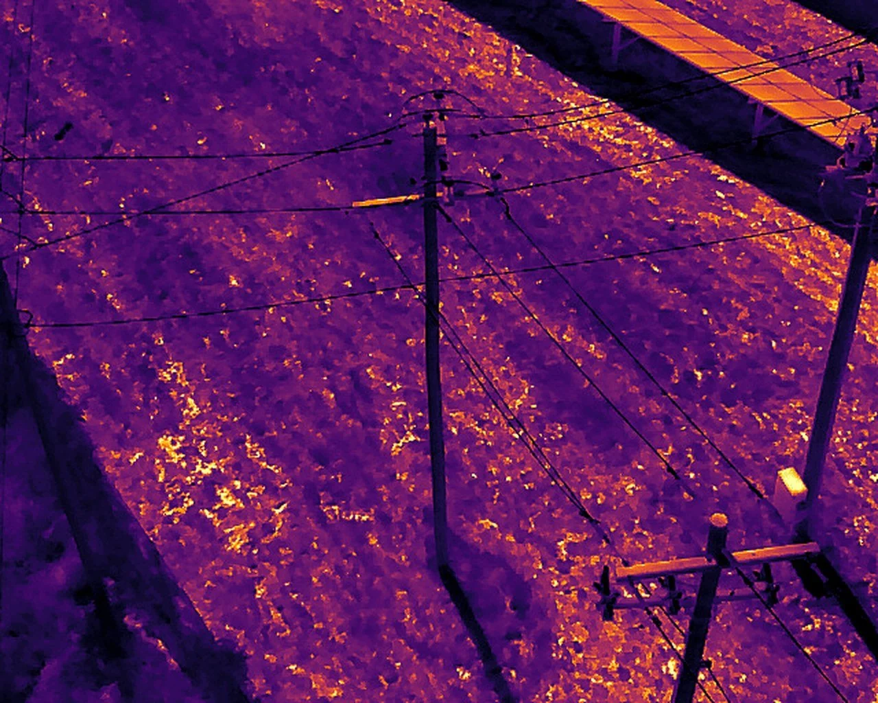 Distribution lines and poles