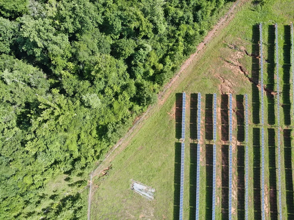 Solar site and wooded terrain