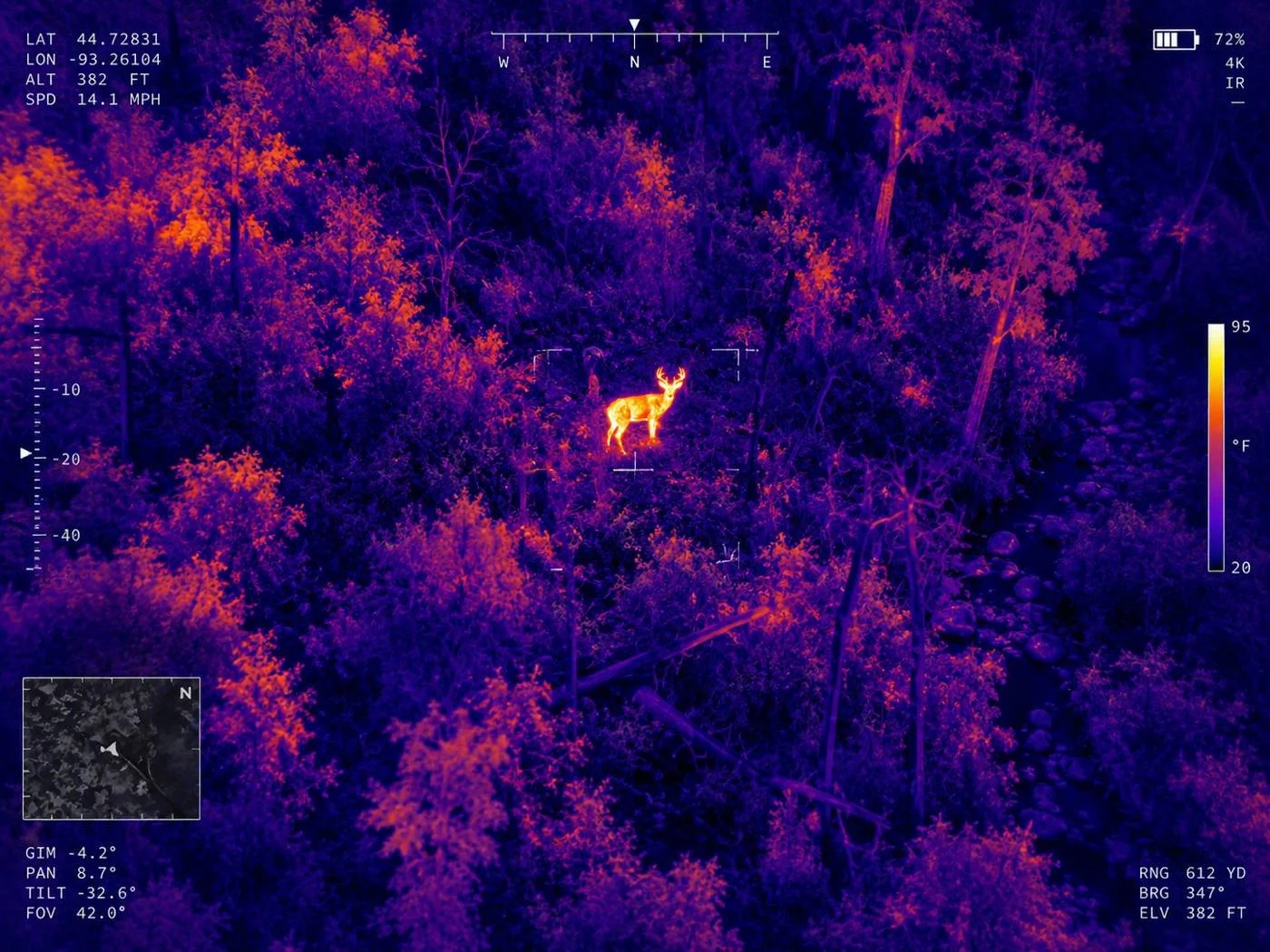 Thermal rendering: deer on a wooded hillside