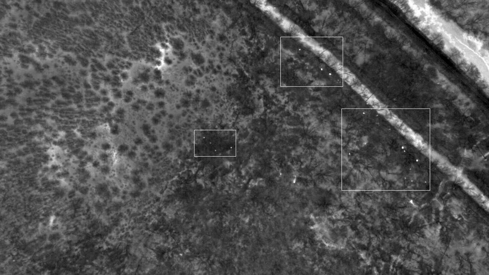 Deer and hogs from 2,000 ft. USFWS/USGS, public domain