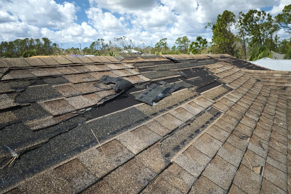house roof needing repair