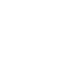 Video Icon