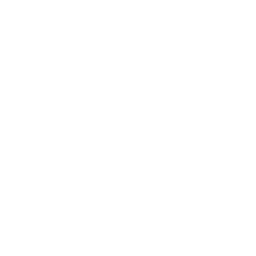Flash Icon