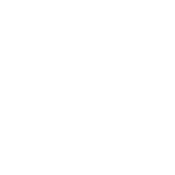 Drone Icon
