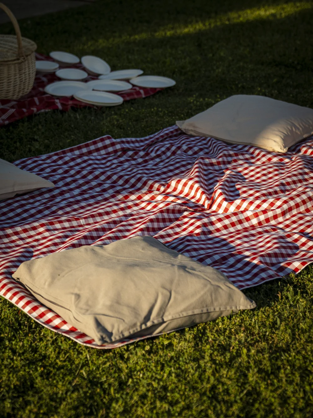 Coperta e cuscini stesi sull'erba