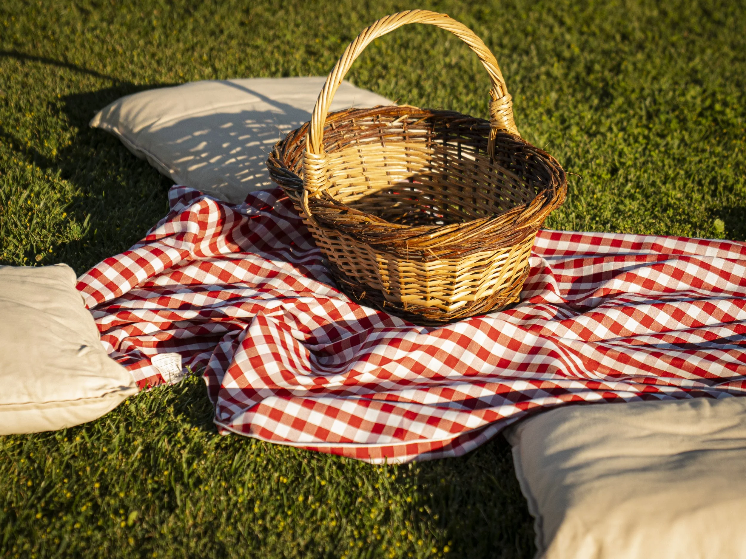 Cestino da picnic sul prato