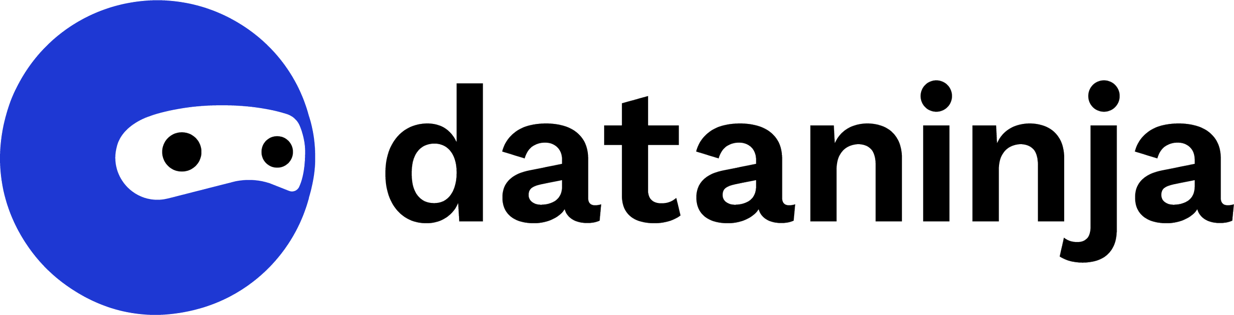 Dataninja logo