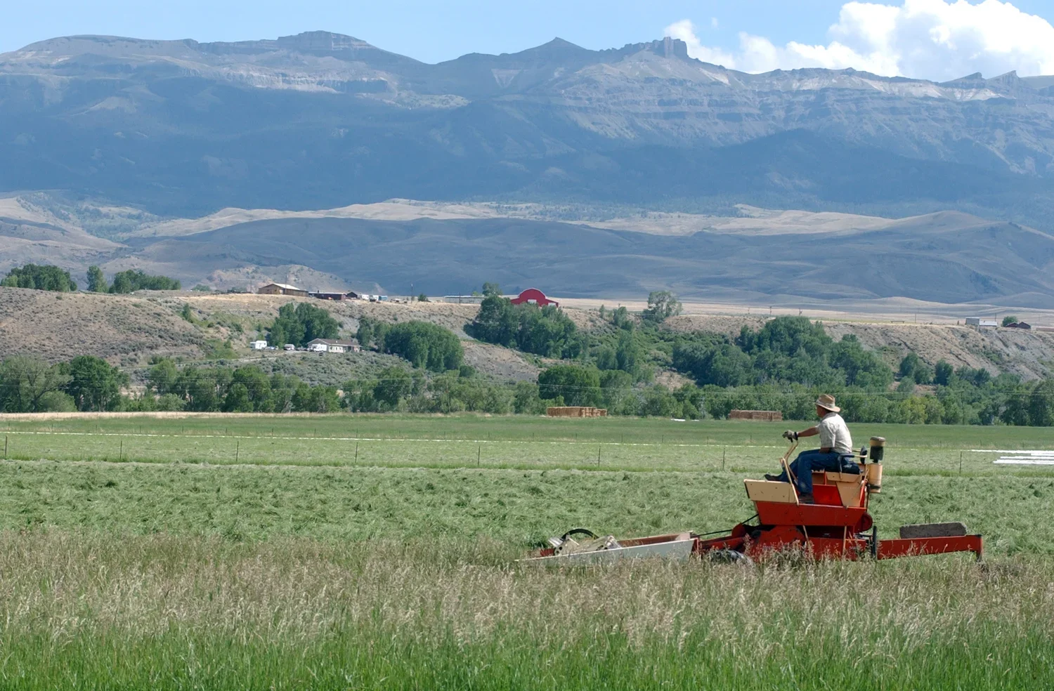Utah County agriculture