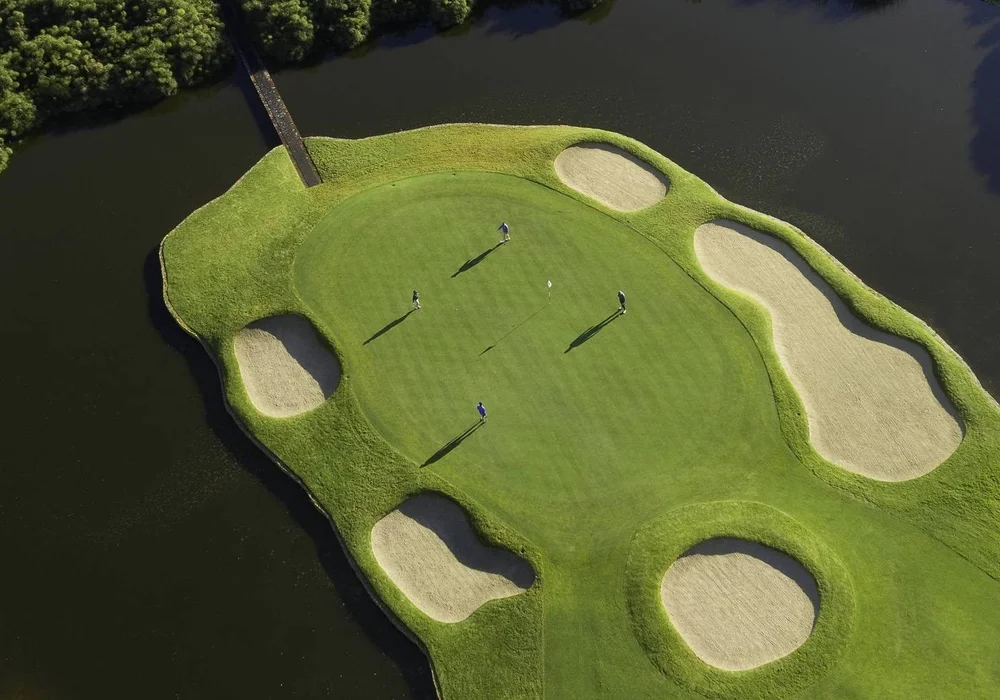 Aerial view of Steenberg's island green