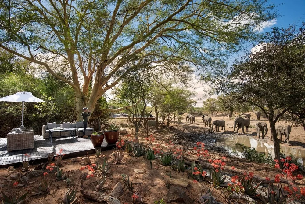 Elephants at the waterhole beside the lodge deck