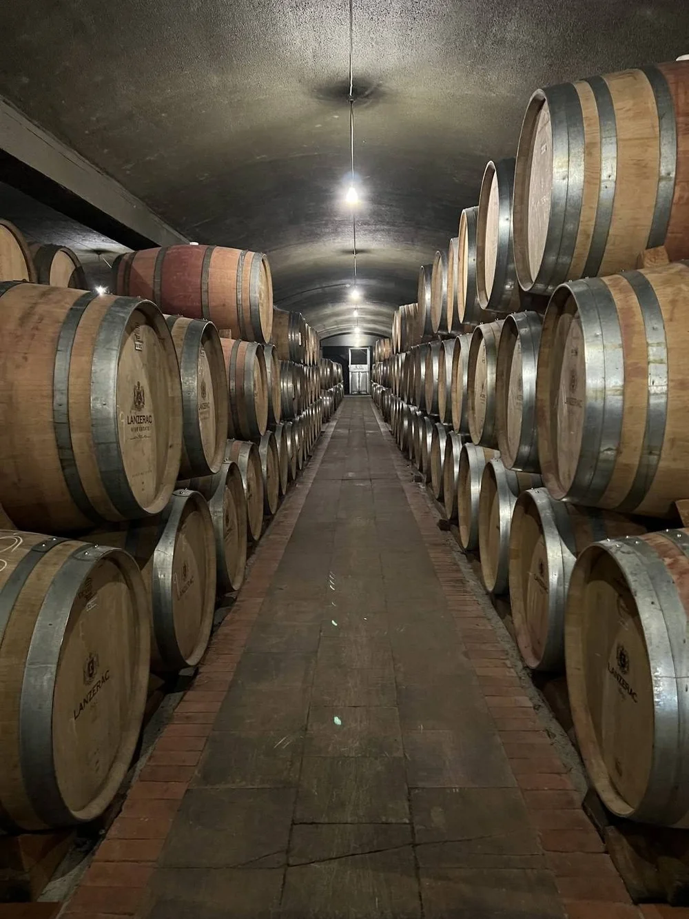 The historic wine cellar