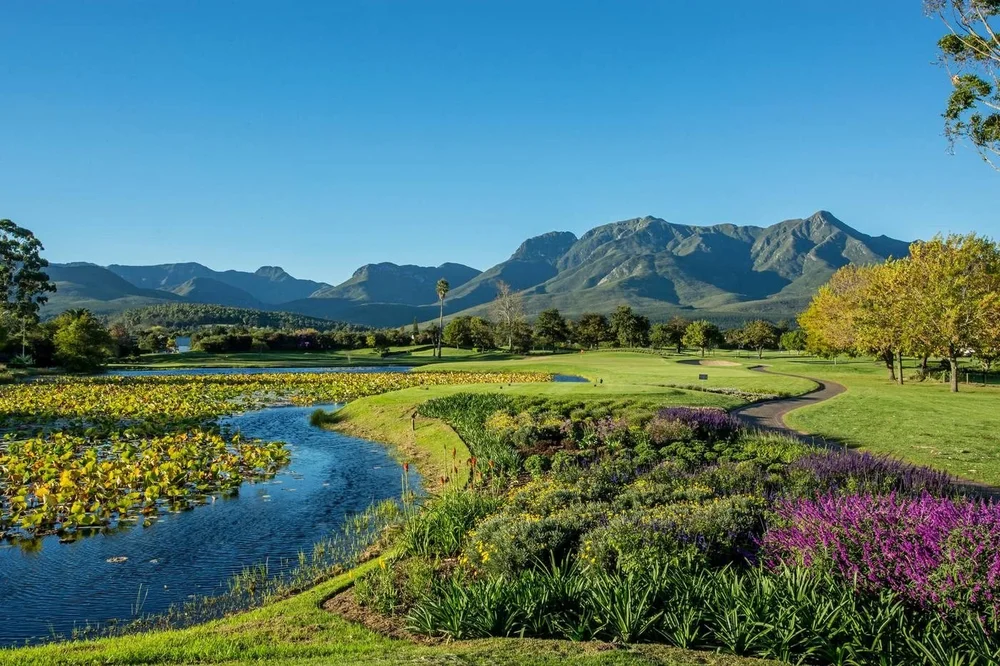 Fancourt Outeniqua, green beside the lily pond