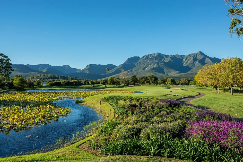Outeniqua green