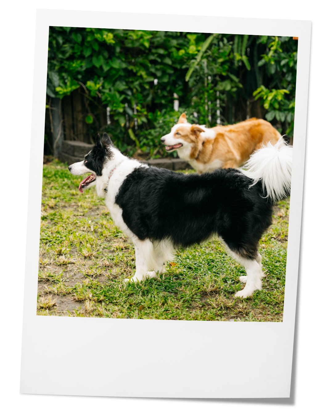 Bernard-Villemot-portrait