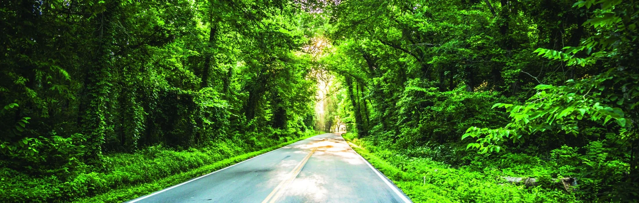 Wildwood MO scenic winding roads and native woodland, homes for sale Wildwood Missouri