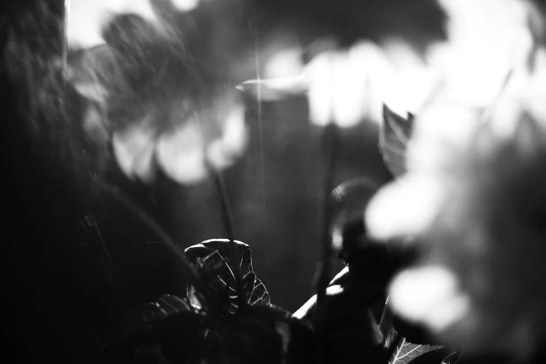 Growth and Execution