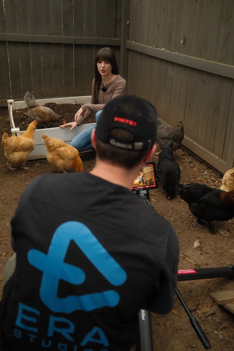 Filming an on-location interview with backyard chickens