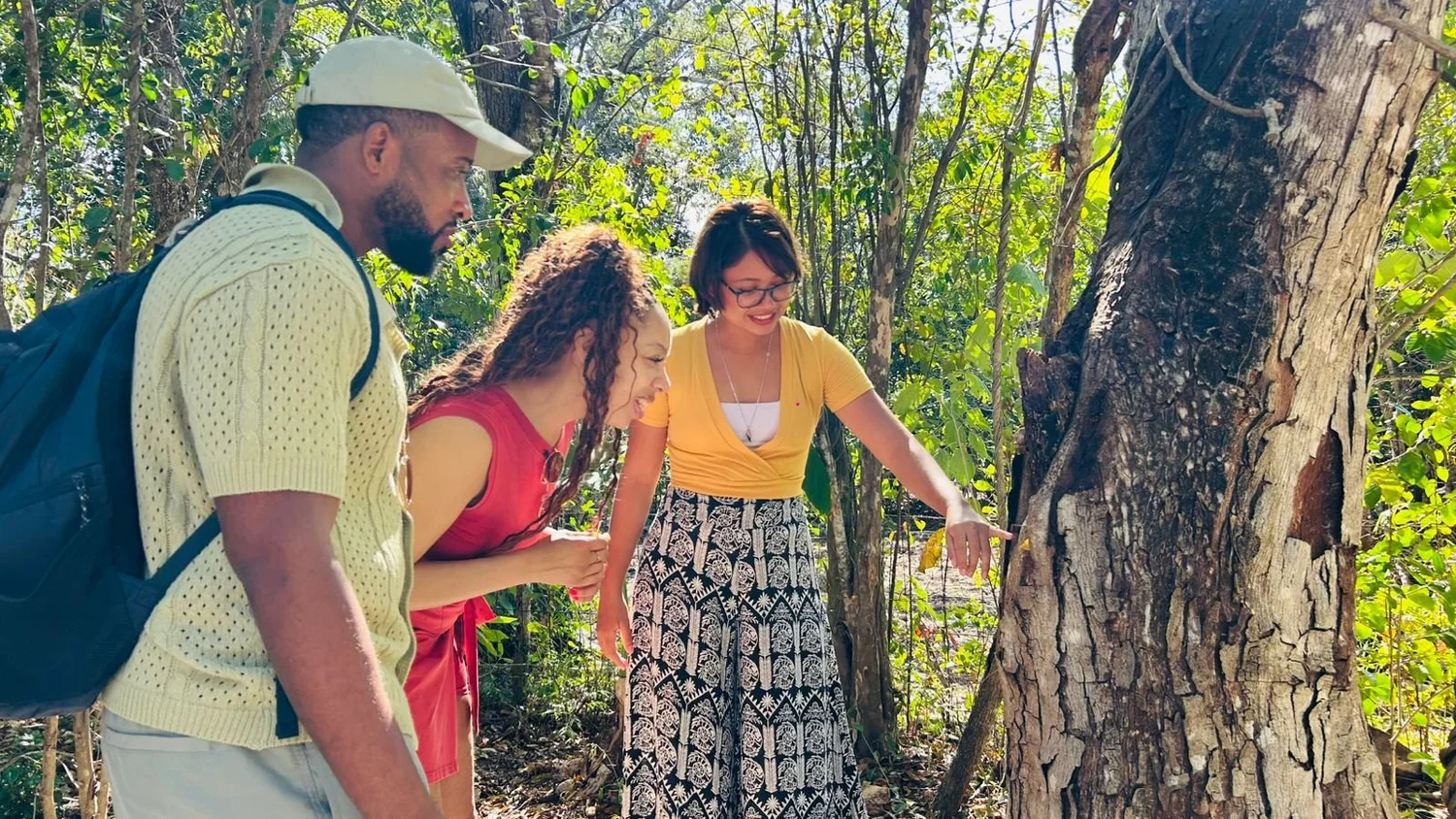 Tasting honey from stingless Melipona bees at Tierra Maya