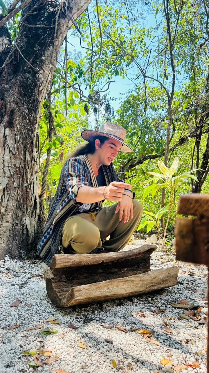 Melipona bees and honey at Tierra Maya