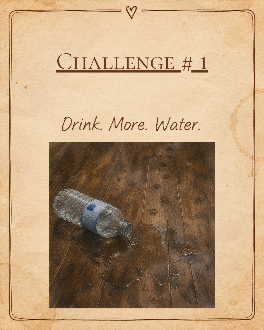 Challenge Number 1: Drink More Water