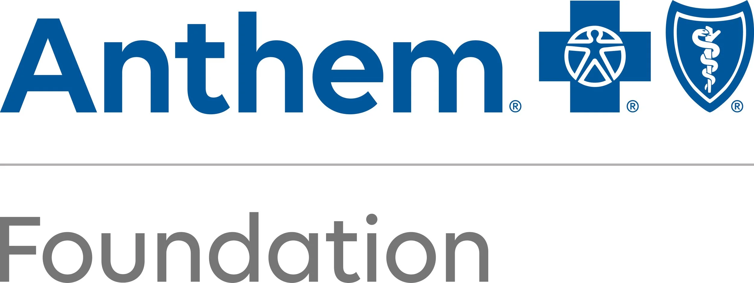 Anthem Foundation