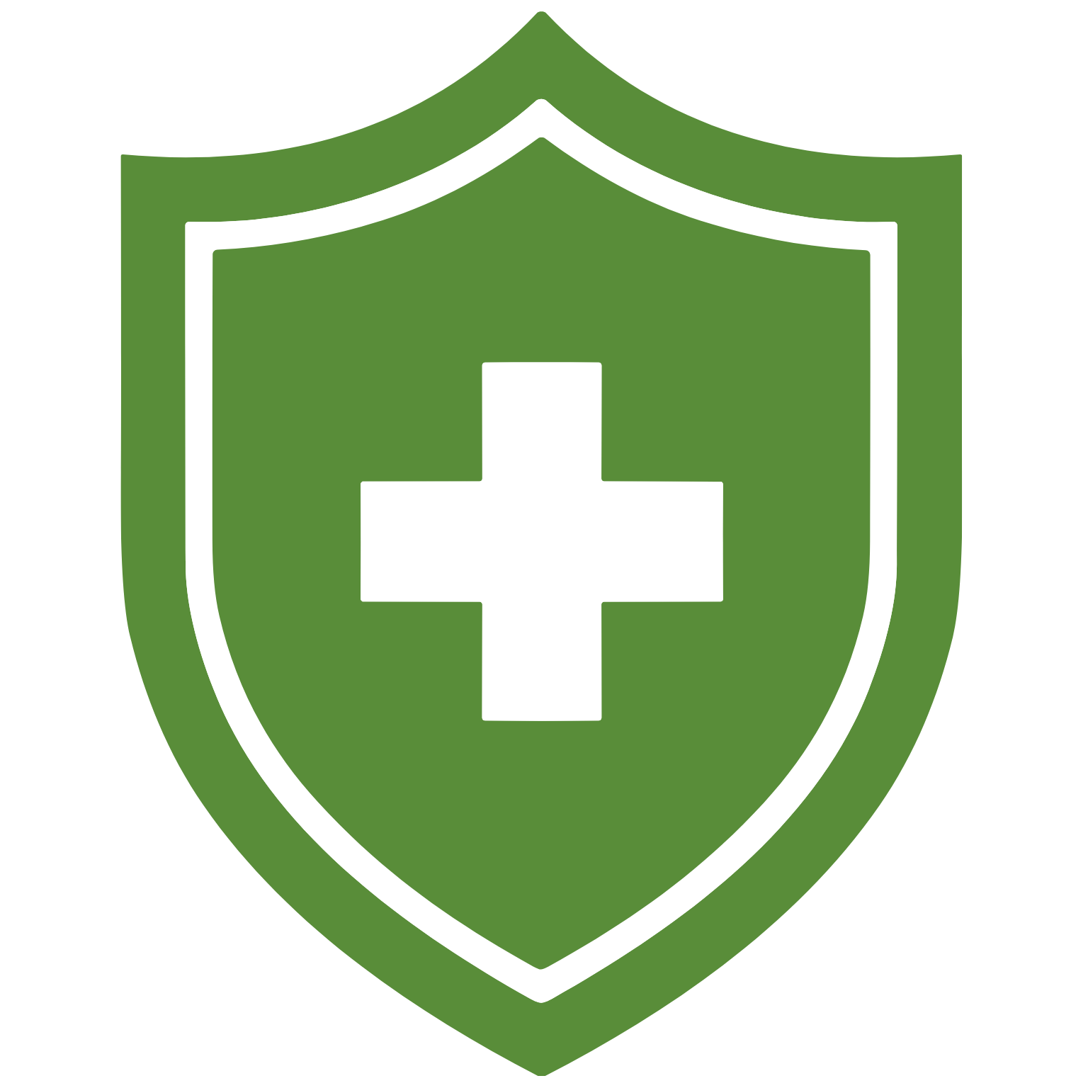 Shield Icon