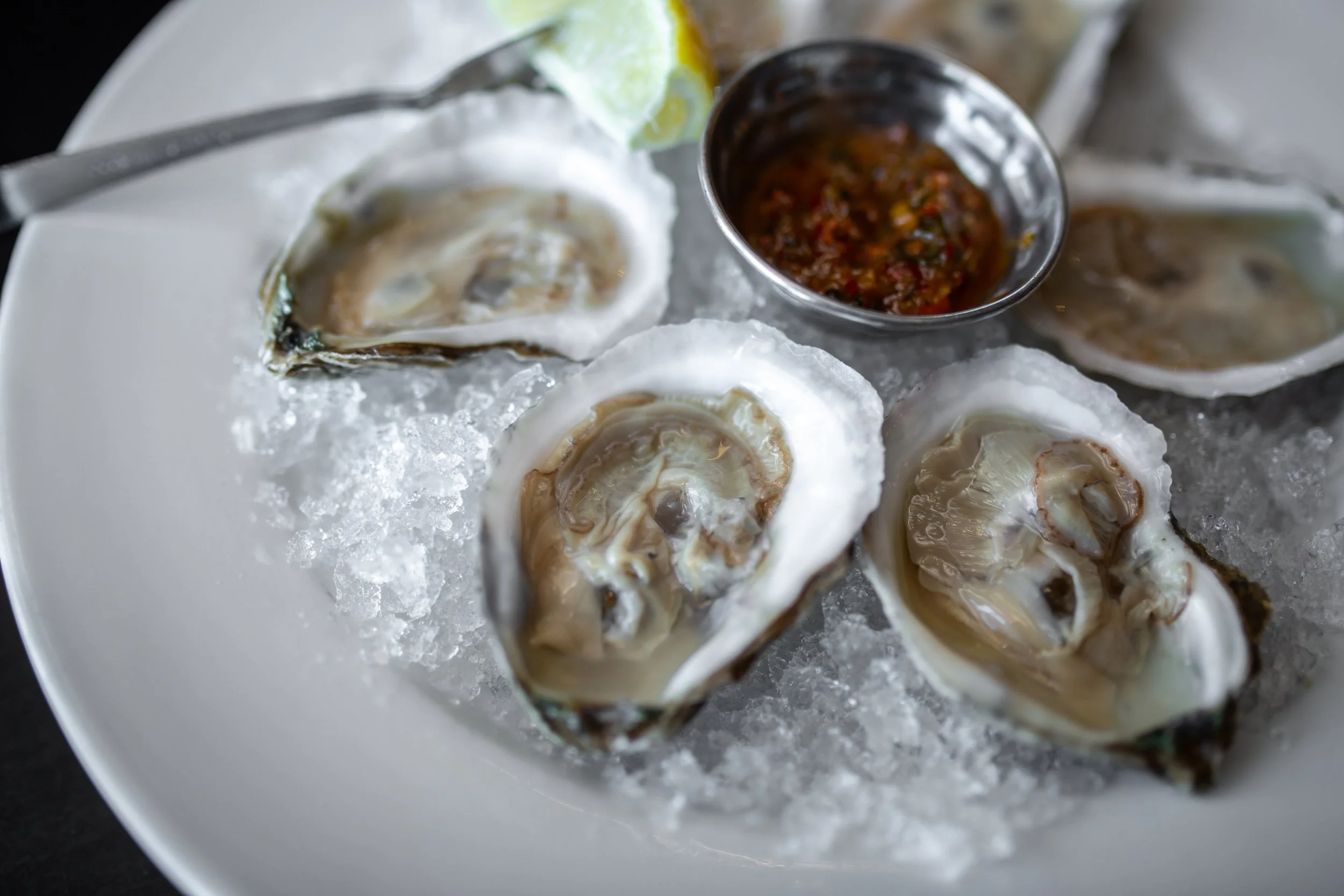 Oysters