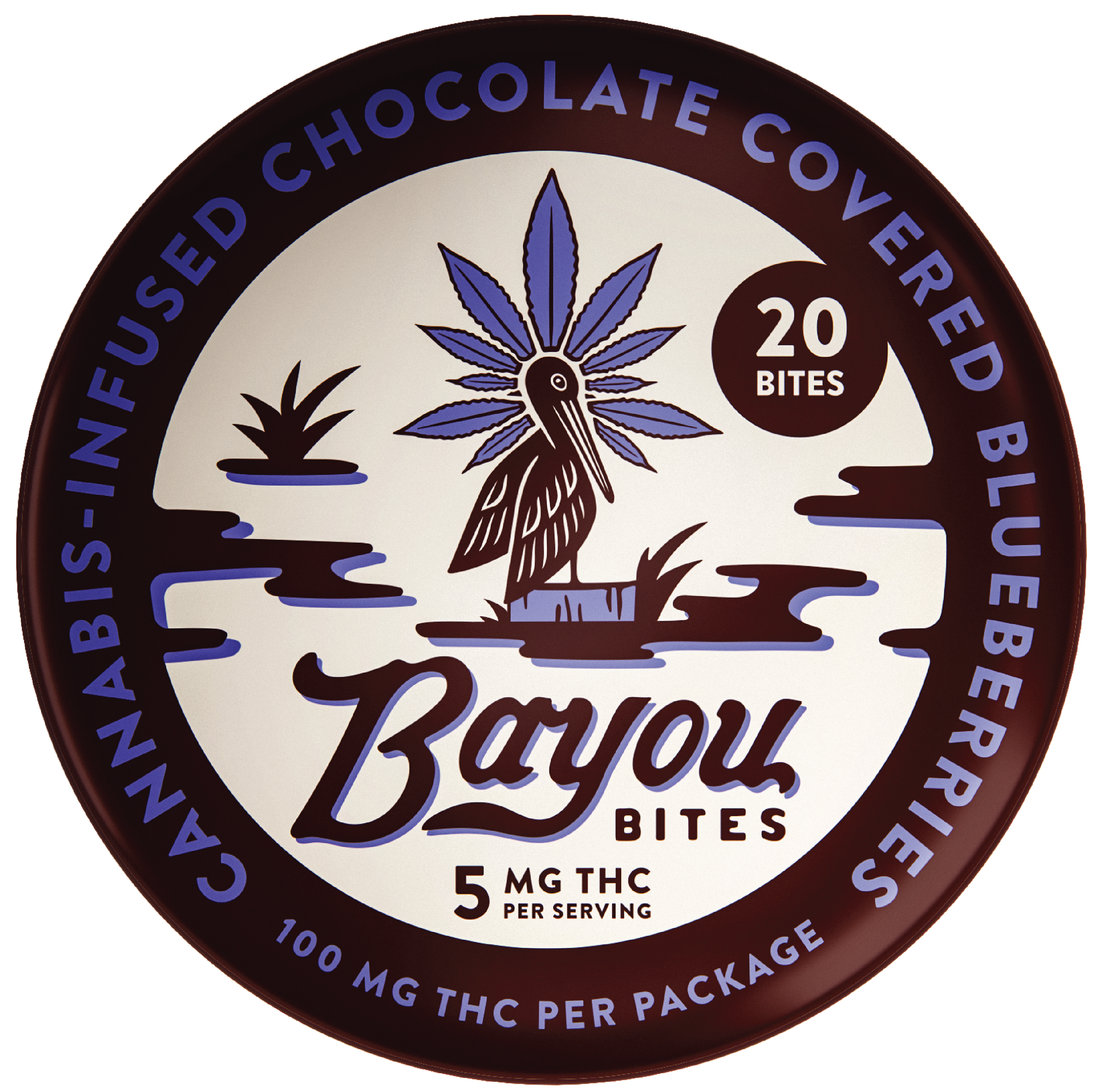 Chocolate Covered Blueberries