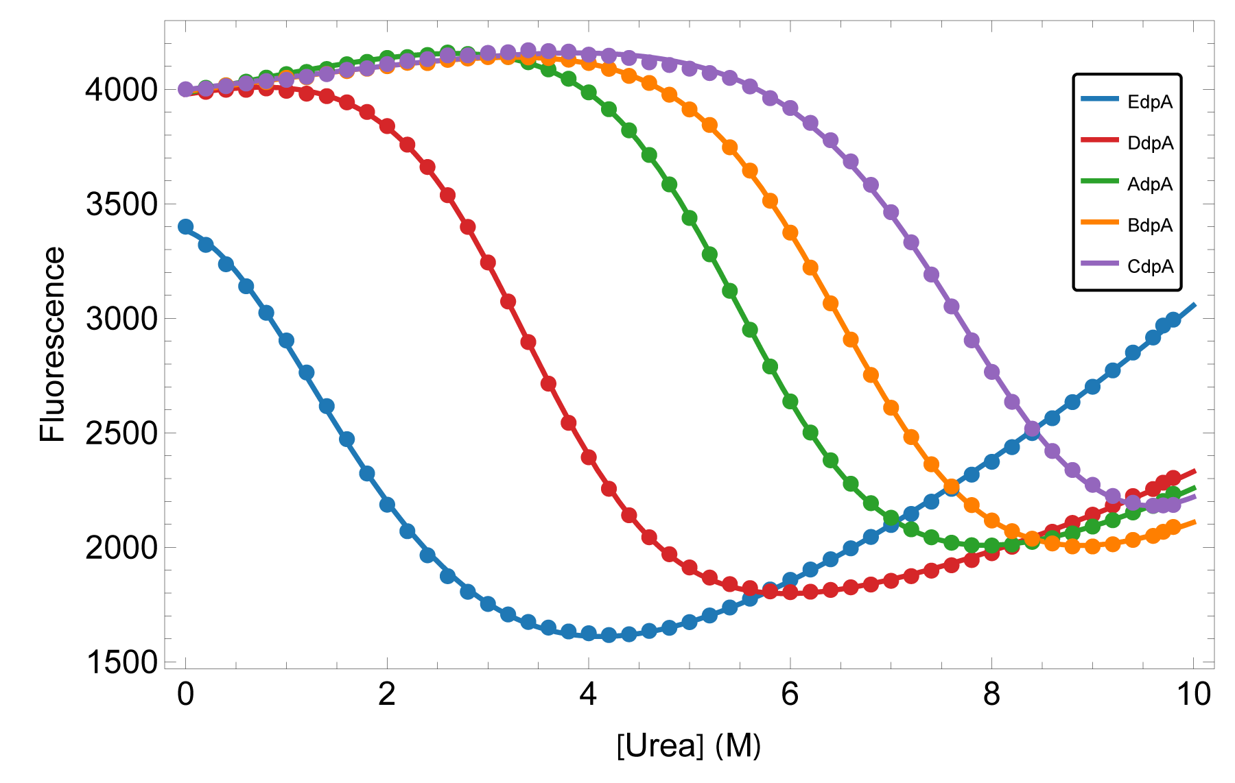 Urea unfolding of the five isolated SpA domains followed by fluorescence